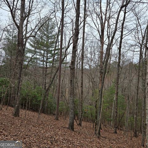 8.5 Blue Berry Ridge, Morganton, GA 30560