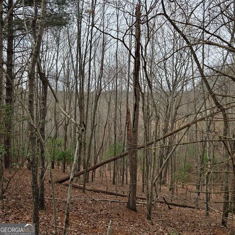 8.5 Blue Berry Ridge, Morganton, GA 30560