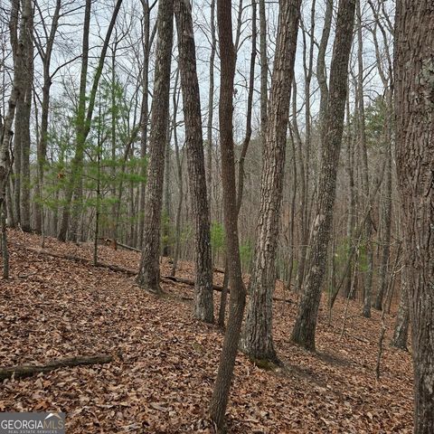 8.5 Blue Berry Ridge, Morganton, GA 30560