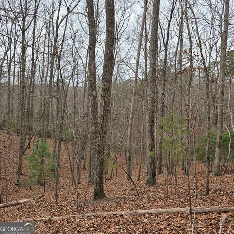 8.5 Blue Berry Ridge, Morganton, GA 30560