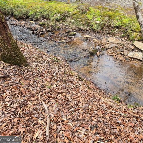 8.5 Blue Berry Ridge, Morganton, GA 30560