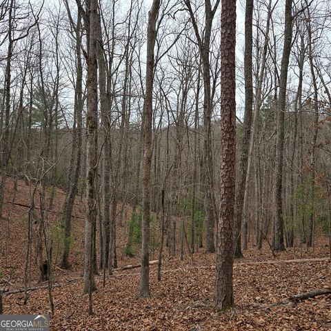 8.5 Blue Berry Ridge, Morganton, GA 30560