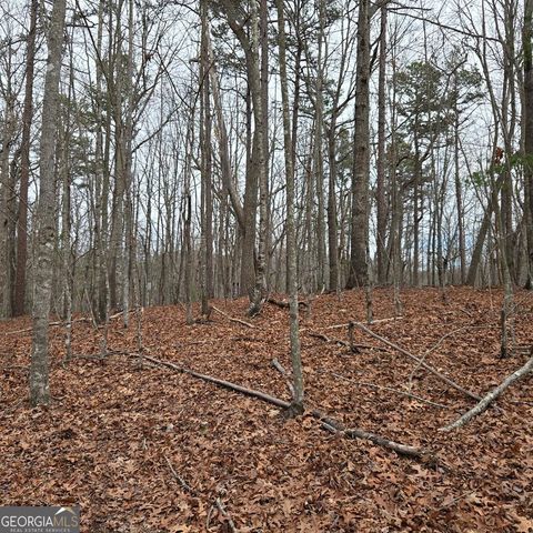 8.5 Blue Berry Ridge, Morganton, GA 30560