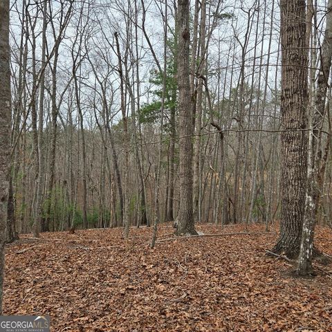 8.5 Blue Berry Ridge, Morganton, GA 30560