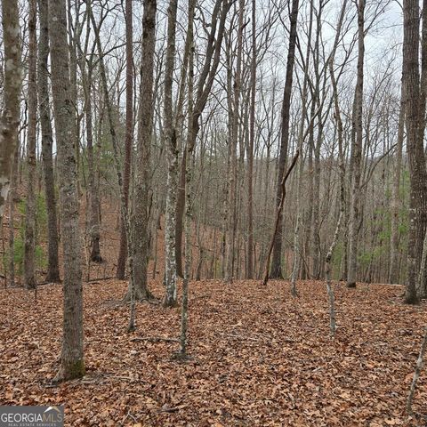 8.5 Blue Berry Ridge, Morganton, GA 30560