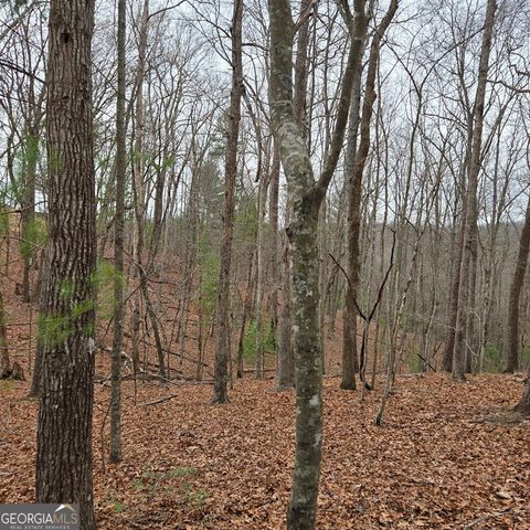 8.5 Blue Berry Ridge, Morganton, GA 30560