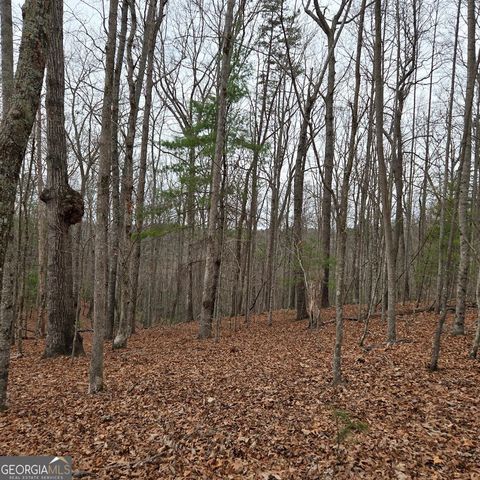 8.5 Blue Berry Ridge, Morganton, GA 30560