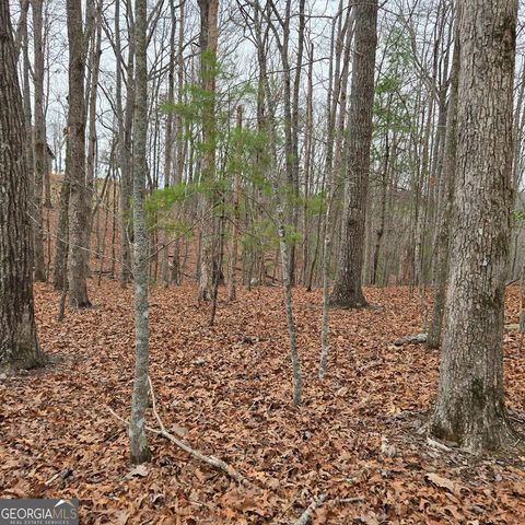 8.5 Blue Berry Ridge, Morganton, GA 30560