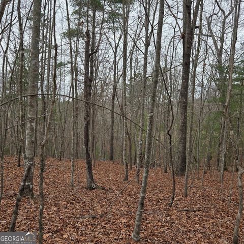 8.5 Blue Berry Ridge, Morganton, GA 30560