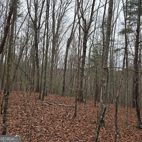 8.5 Blue Berry Ridge, Morganton, GA 30560