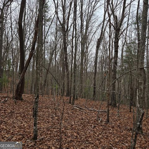 8.5 Blue Berry Ridge, Morganton, GA 30560