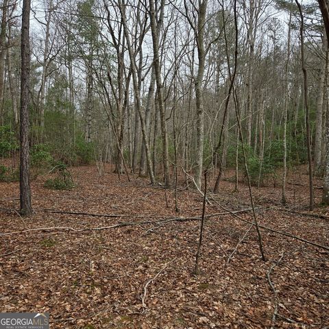 8.5 Blue Berry Ridge, Morganton, GA 30560