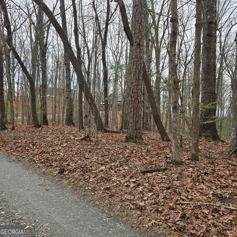 8.5 Blue Berry Ridge, Morganton, GA 30560