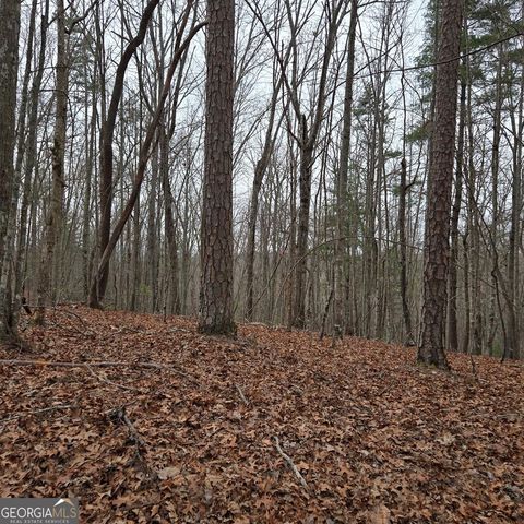 8.5 Blue Berry Ridge, Morganton, GA 30560