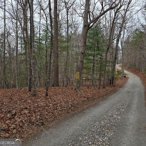 8.5 Blue Berry Ridge, Morganton, GA 30560