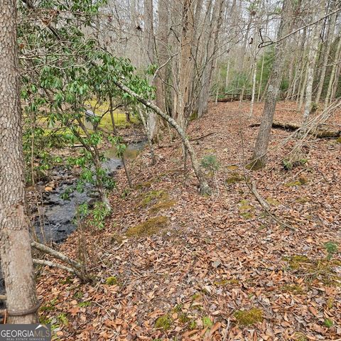 8.5 Blue Berry Ridge, Morganton, GA 30560