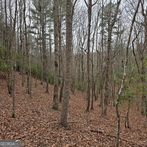 8.5 Blue Berry Ridge, Morganton, GA 30560