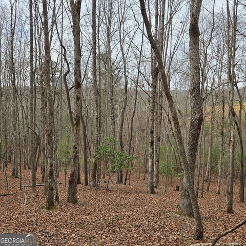 8.5 Blue Berry Ridge, Morganton, GA 30560