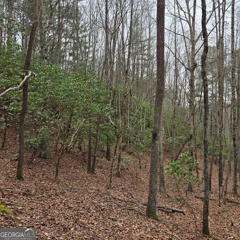 8.5 Blue Berry Ridge, Morganton, GA 30560