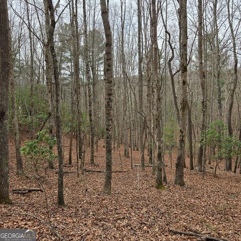 8.5 Blue Berry Ridge, Morganton, GA 30560