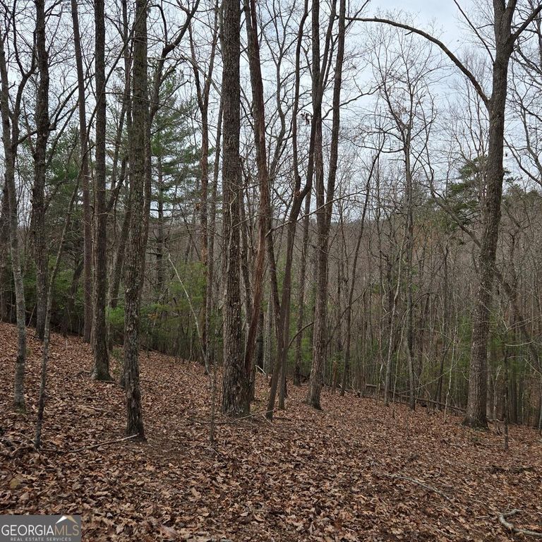 8.5 Blue Berry Ridge, Morganton, GA 30560