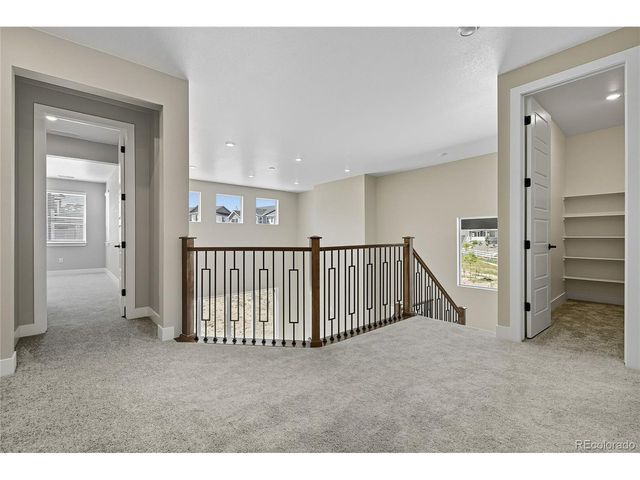 5591 Farrier Pt, Castle Rock, CO 80104