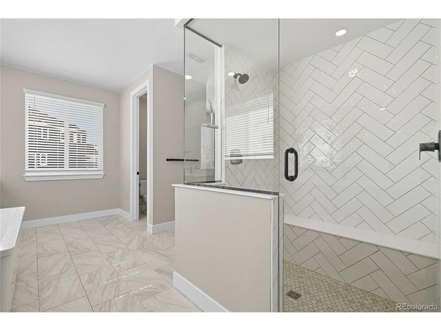 5591 Farrier Pt, Castle Rock, CO 80104