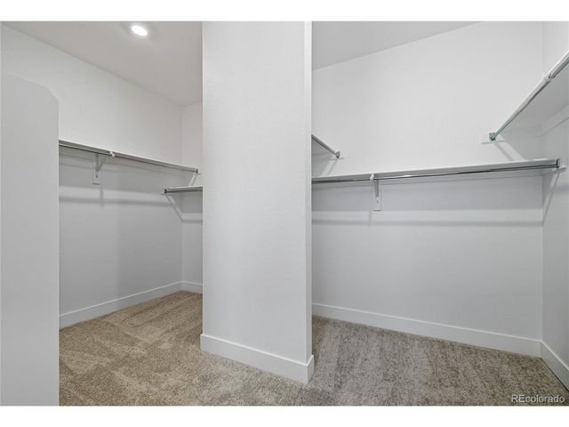 5591 Farrier Pt, Castle Rock, CO 80104