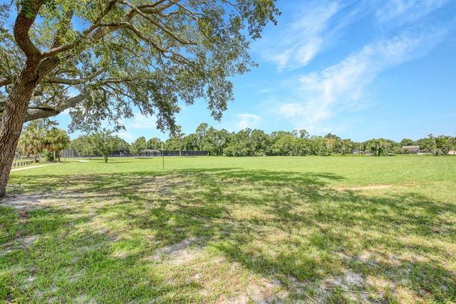 423 VAN REED MANOR DRIVE, Brandon, FL 33511