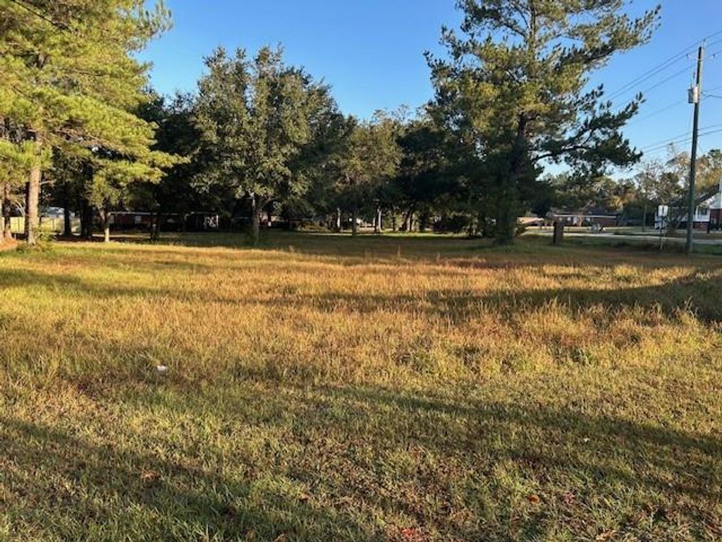 0 Bellingrath Road, Theodore, AL 36582 — photo 2