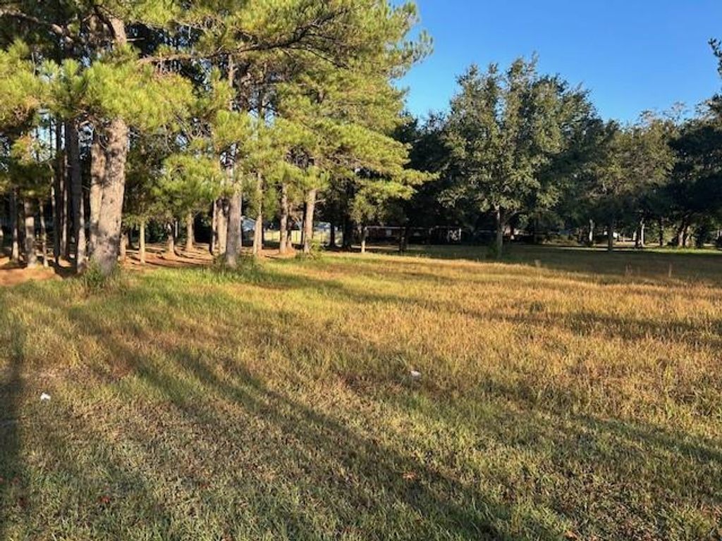 0 Bellingrath Road, Theodore, AL 36582 — photo 3