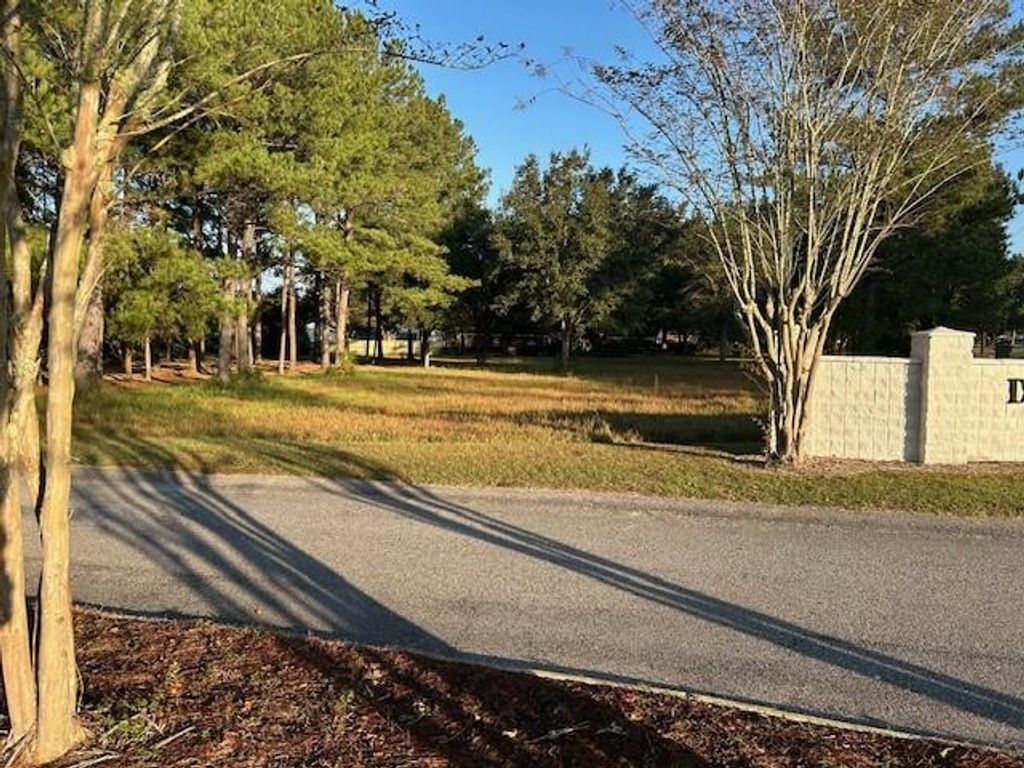 0 Bellingrath Road, Theodore, AL 36582 — photo 4