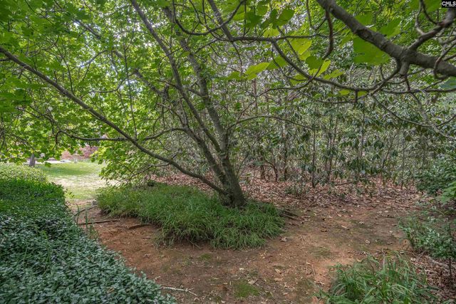 5204 Glenmount Street, Columbia, SC 29212