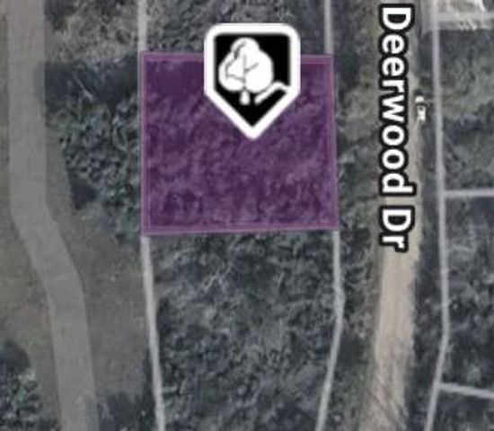 26342 Deerwood Drive, Hempstead, TX 77445