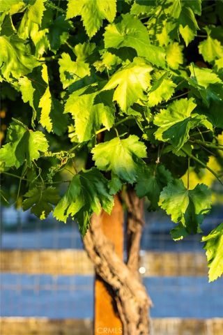 927 Osos Way, Paso Robles, CA 93446