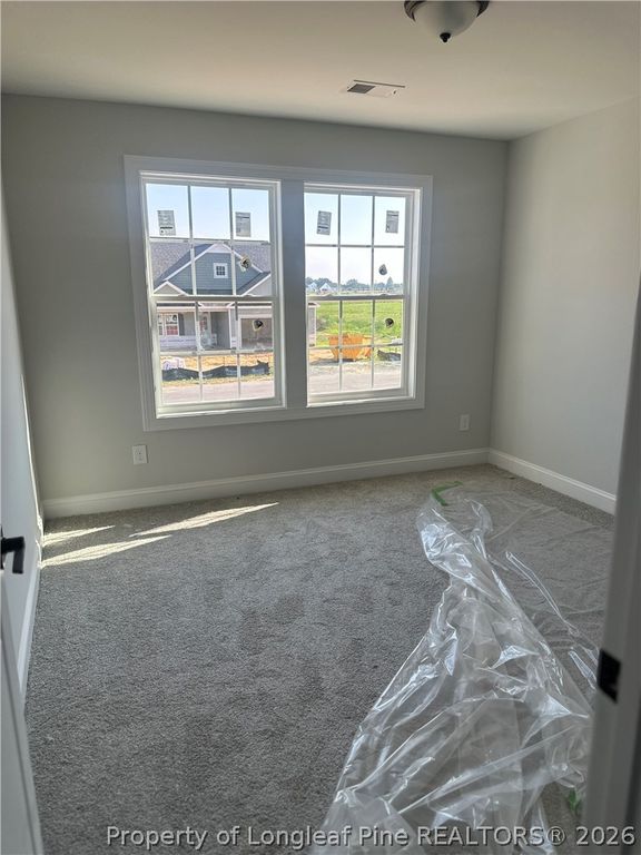 205 Margot Manor Drive, Benson, NC 27504 — photo 19