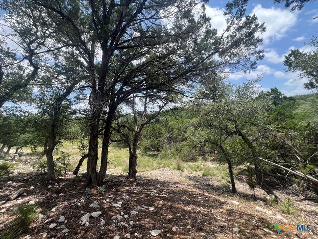 1252 Parton Road, Canyon Lake, TX 78133