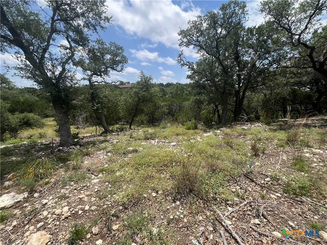 1252 Parton Road, Canyon Lake, TX 78133
