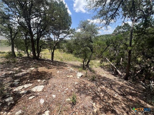 1252 Parton Road, Canyon Lake, TX 78133