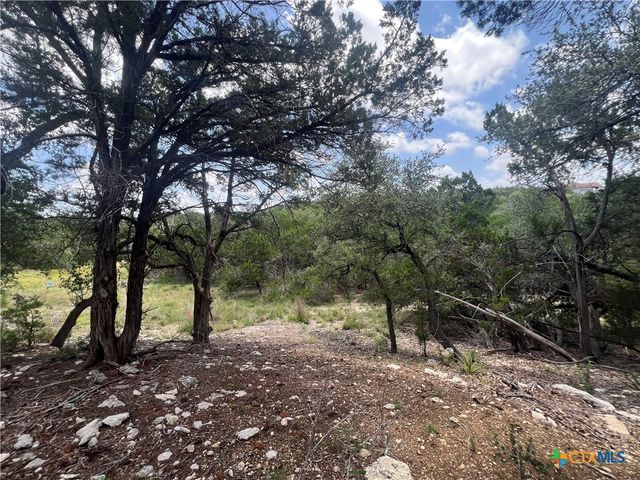 1252 Parton Road, Canyon Lake, TX 78133