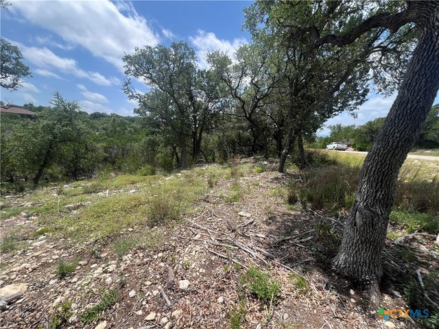 1252 Parton Road, Canyon Lake, TX 78133