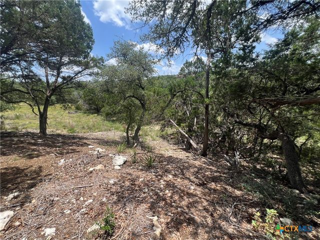1252 Parton Road, Canyon Lake, TX 78133