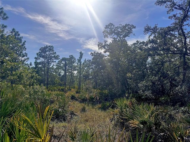 RYDAL ROAD, Weeki Wachee, FL 34614