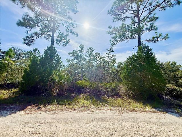 RYDAL ROAD, Weeki Wachee, FL 34614