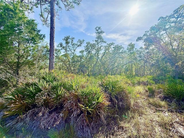 RYDAL ROAD, Weeki Wachee, FL 34614