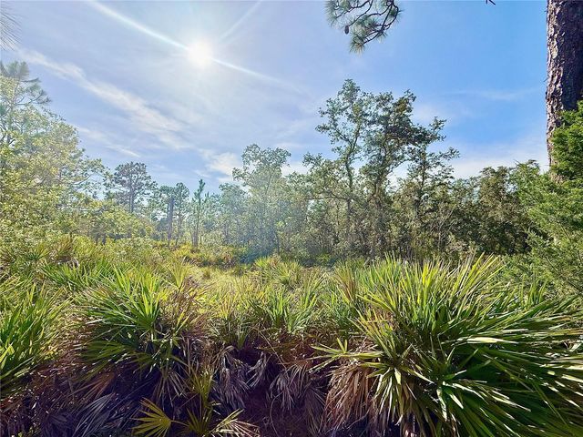 RYDAL ROAD, Weeki Wachee, FL 34614