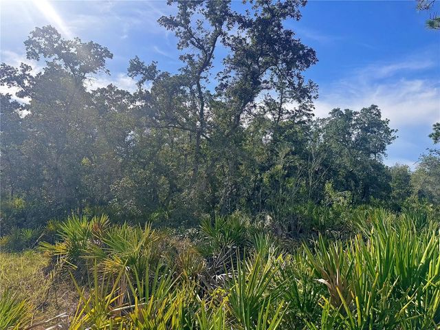 RYDAL ROAD, Weeki Wachee, FL 34614