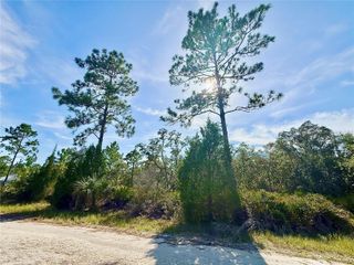 RYDAL ROAD, Weeki Wachee, FL 34614