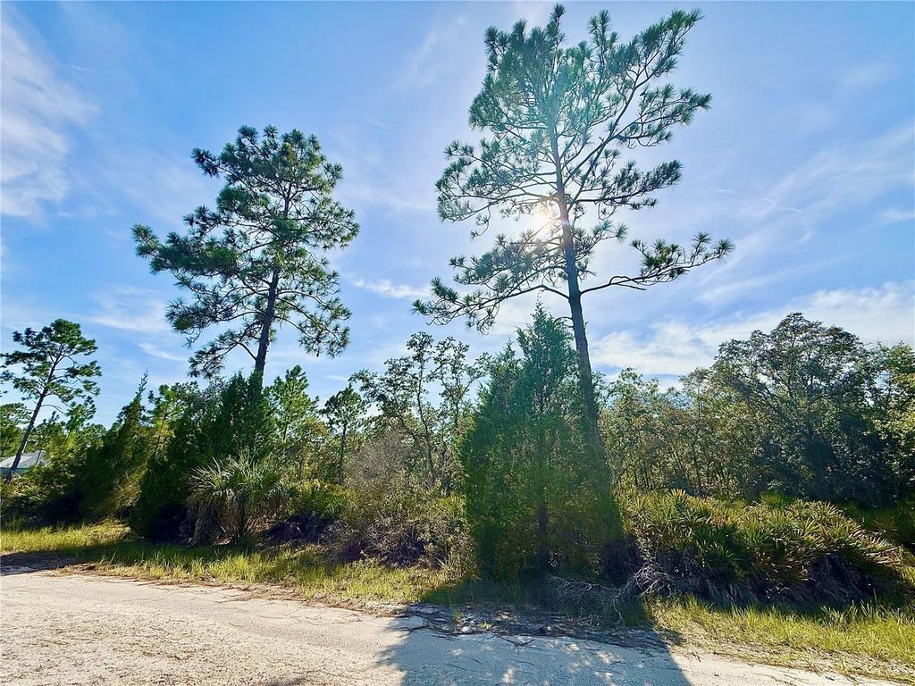 RYDAL ROAD, Weeki Wachee, FL 34614