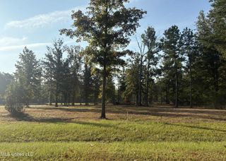 00 Shire Avenue, Forest, MS 39074